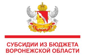 Министерство социальной защиты Воронежской области объявляет конкурс по предоставлению грантов в форме субсидий для поддержки социально значимых проектов, реализуемых социально ориентированными некоммерческими организациями по направлению «Социальная реабилитация лиц, освободившихся из мест лишения свободы»