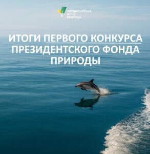 Объявлены результаты первого грантового конкурса 2025 года Президентского фонда природы — поздравляем победителей