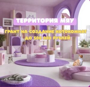 Продолжается приём заявок на грантовый конкурс «Территория Мяу»
