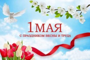 Дорогие коллеги и друзья!