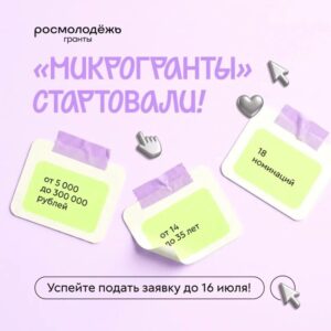 Идет прием заявок на конкурс «Росмолодёжь. Гранты: Микрогранты»
